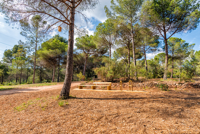 Zona de descans amb ombra i bancs