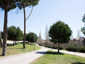 Imatge del parc