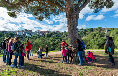 Parc del Pi gros