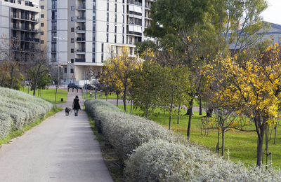 Una persona passejant un gos al parc de la Fontsanta