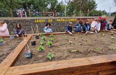 Imatge d'una activitat a l'espai