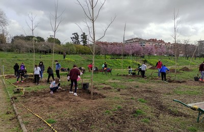 Persones participant en una activitat de conservació