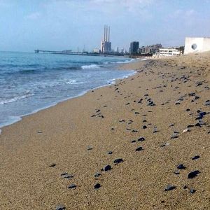 Retirada de meduses de les platges