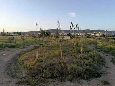 Àrea de picnic de la riera de Pahissa