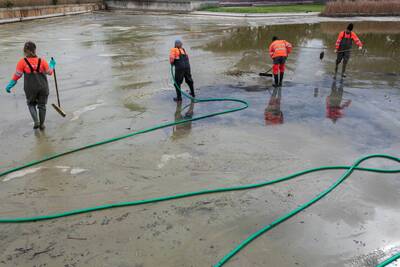Tasques de neteja i renovació del llac del parc de Can Zam