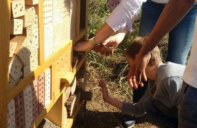 Comencen els projectes participatius