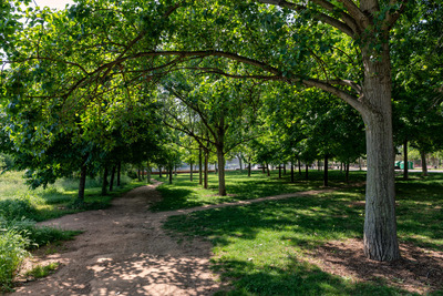 Zona de vegetació i ombra