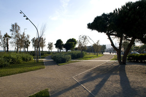 Imatge del projecte