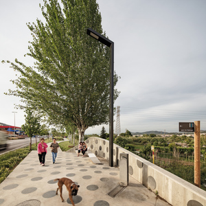 Millores als camins