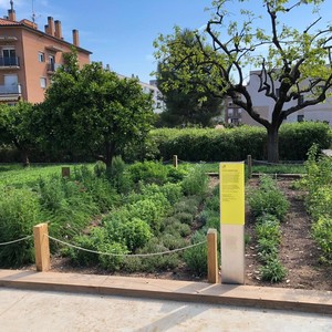 Hort medicinal i jardí d'herbes remeieres del parc de la Molinada (Pallejà)