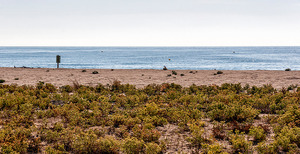 Imatge de les platges del Prat Llobregat