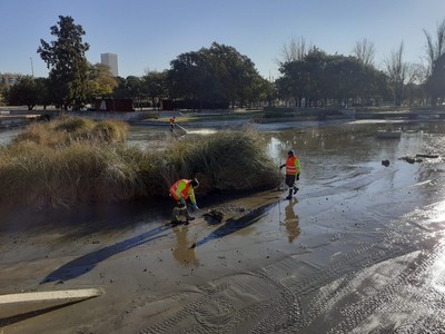 Tasques de buidatge i neteja al llac del parc de Can Zam a Santa Coloma de Gramenet