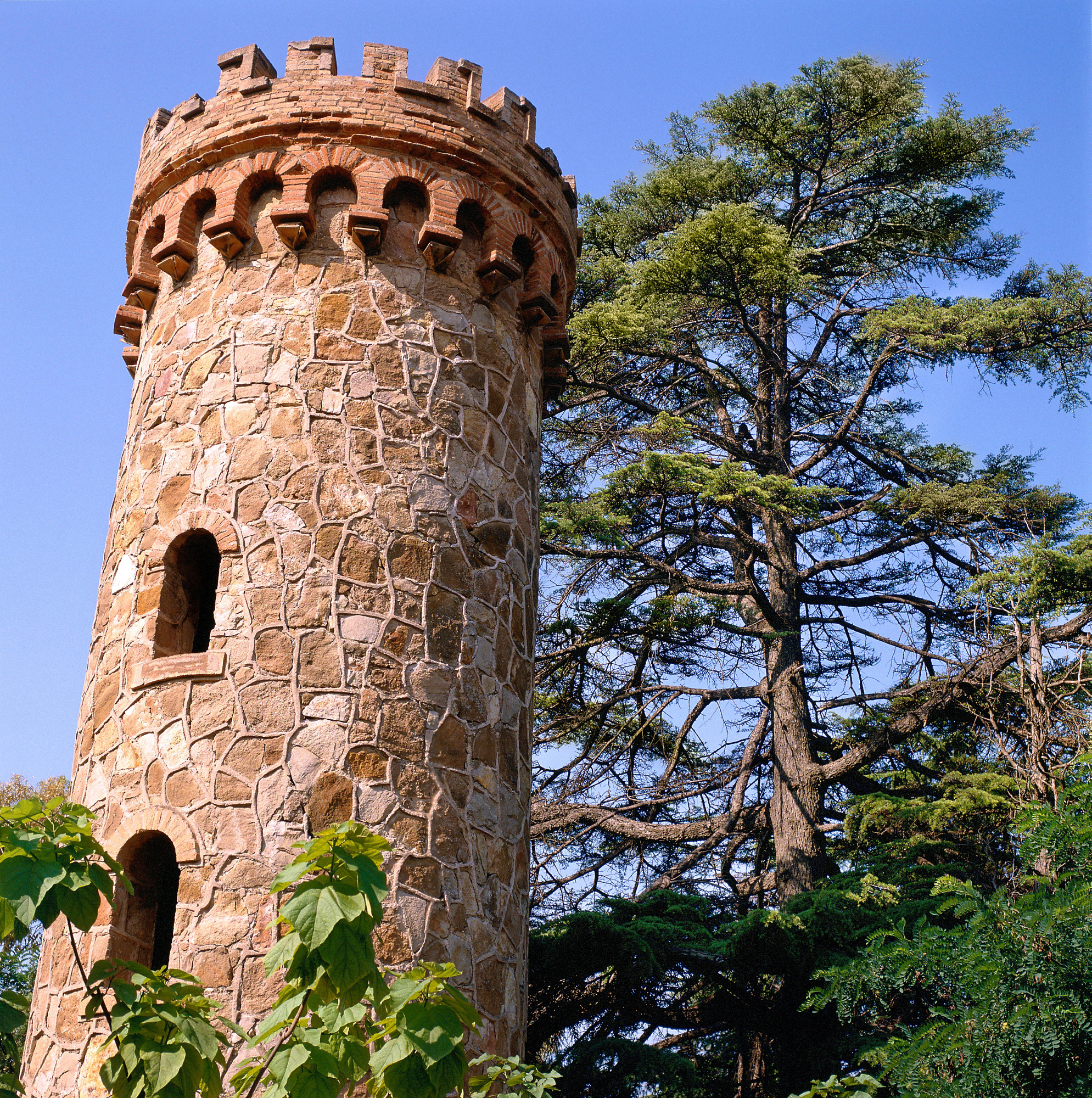 La torre de la Torreblanca