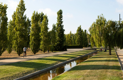 Imatge de l'itinerari dels arbres