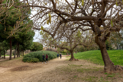 Un dels camins del parc