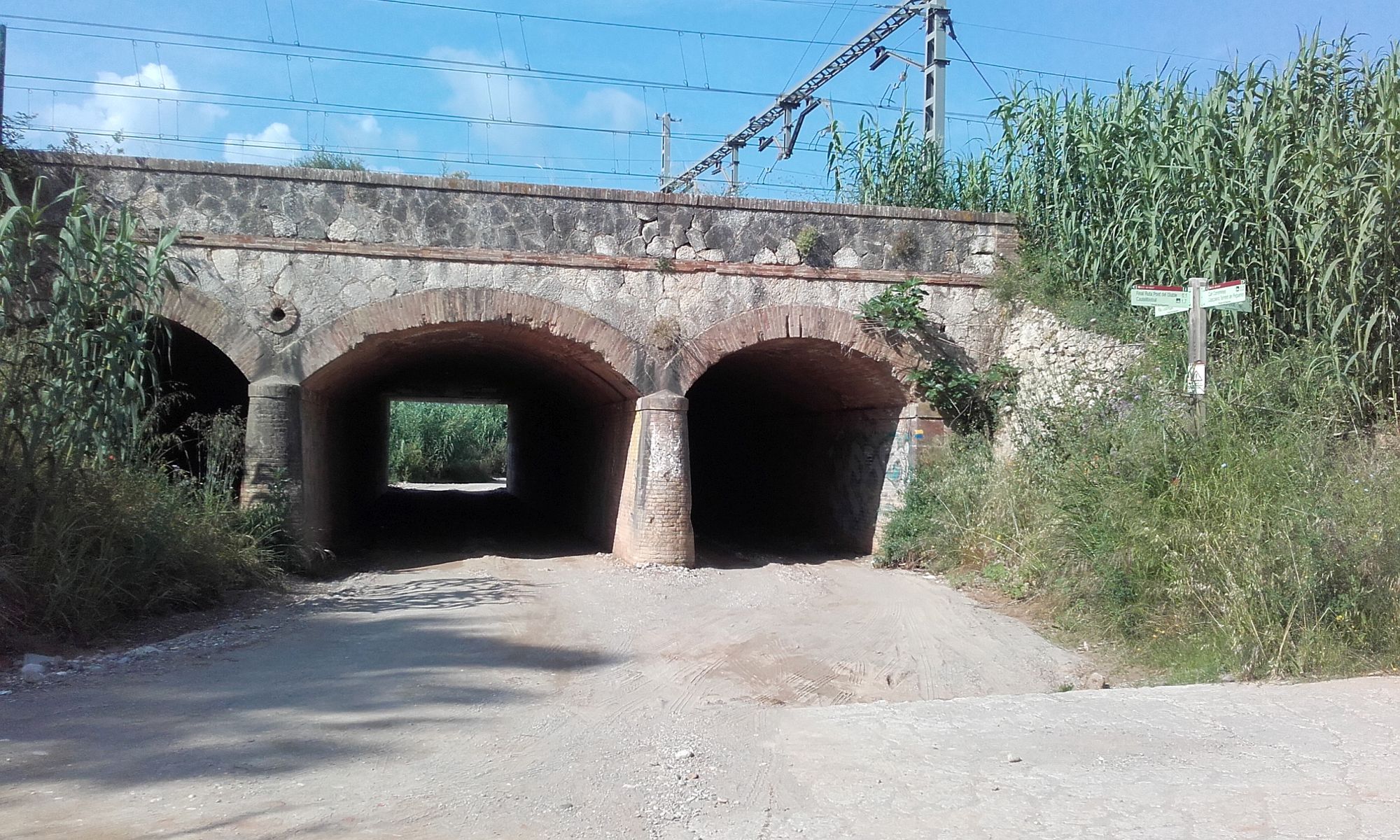 Torrent de Pegueres - Picnic - Passera blava