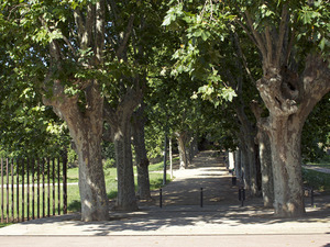 Imagen del parque