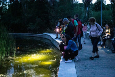 Un grup de persones en una activitat nocturna a la llacuna del parc
