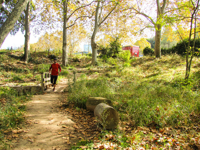 Un home per un camí entre arbres