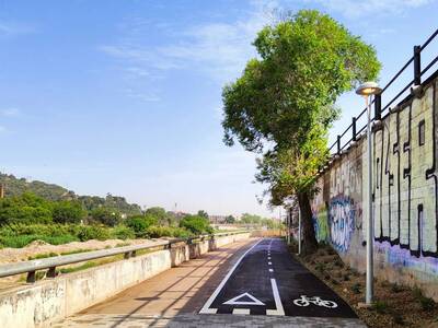 La imatge mostra un carril bici separat d’un passeig per a vianants. A la dreta del carril bici hi ha un arbre i un fanal i a l’esquerra el riu Besòs. El dia és assolellat i el cel és clar. El carril bici està clarament senyalitzat amb marques al paviment.