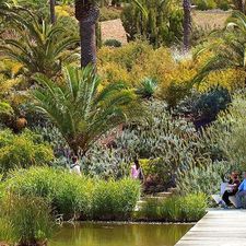 Imatge del jardí Botànic de Barcelona