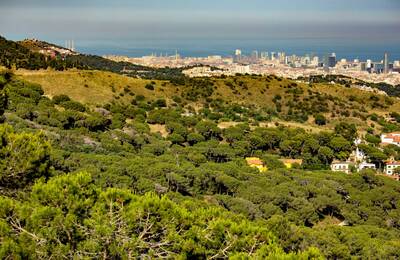 Vista panoràmica del parc de Collserola amb l'àrea metropolitana al fons