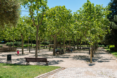Zones d'ombra i bancs del parc