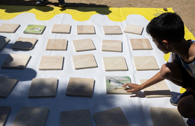 Imatge de la Jugatecambiental