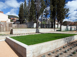 Imatge del projecte