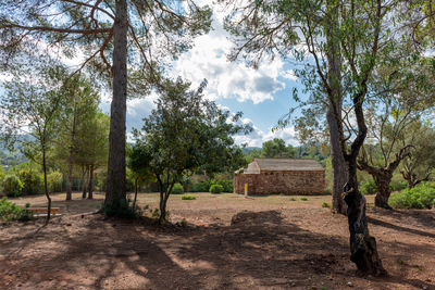 Zona de vegetació amb l'ermita al fons