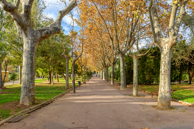 imatge de l'estat previ del parc