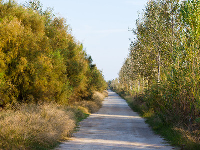 Aiguamolls del delta del Llobregat