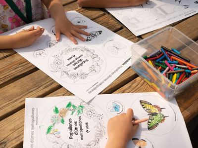 Imatge de la Jugatecambiental