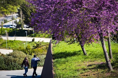 Dues persones passejant pel parc