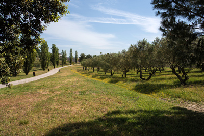 Imatge del parc