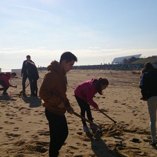 Plantacions a les dunes