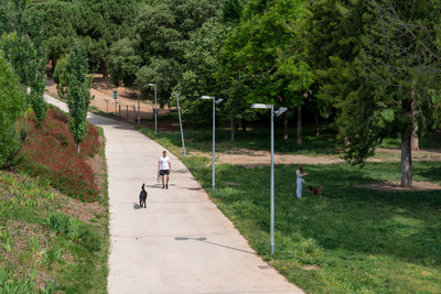 Camí del parc