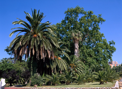 Imatge del parc
