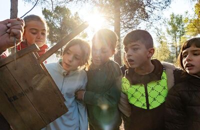 Nens mirant a dins d'una caixa niu