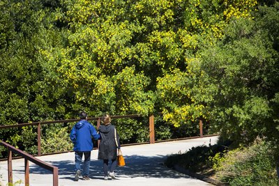 Dues persones passejant per un dels camins del parc