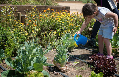 Espais participatius