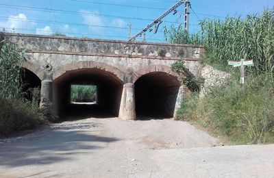 Torrent de Pegueres - Picnic - Passera blava