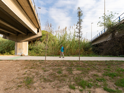un vianant pel camí entre dos ponts