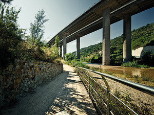 Imatge del projecte