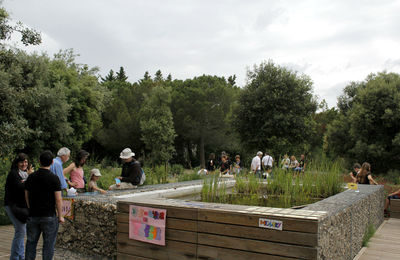 Jardí de les papallones