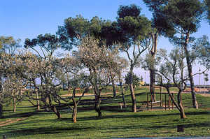 Imatge del parc del Calamot