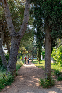 Zona de vegetació i ombra