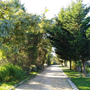 Imatge d'una de les zones de ombres del parc