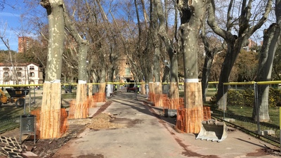 Procés constructiu dels diferents espais del parc