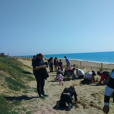 Èxit de participació a la plantació a les dunes de Gavà